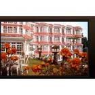 hotel royal palace